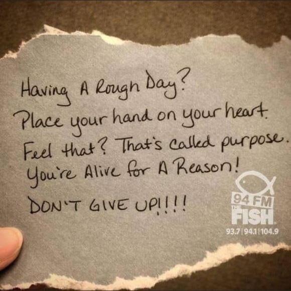 Meet your Posher, Jaime - Picture 3 of 4